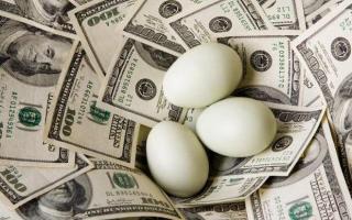 Menghasilkan uang dari burung dan telur