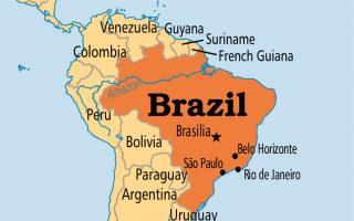Роль бразилии в мировой экономике
